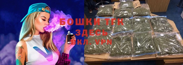 сатива Верея